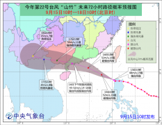 国际海运,散货拼箱防御超强台风“