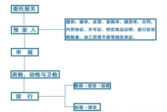 外贸新手必知的报关流程