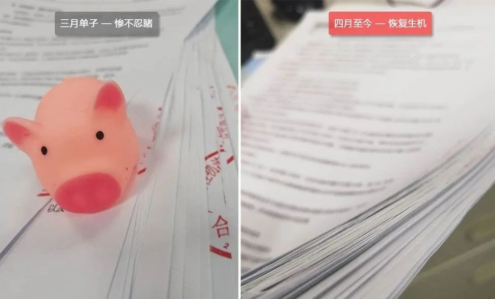 由于国外“解封”!外贸订单及港口操作开始恢复了！30余国复工！