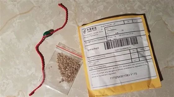 亚马逊禁止外国植物或种子销往美国!欧洲站零售副总裁将于年底离职!