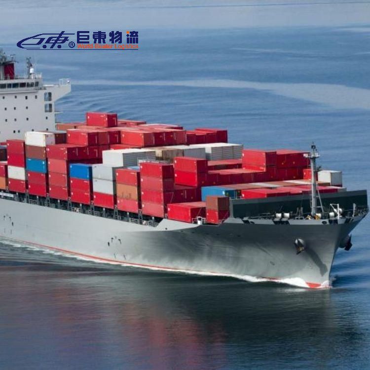 Sea-Intelligence：没有看到航运公司将在黄金周期间削减运力的迹象