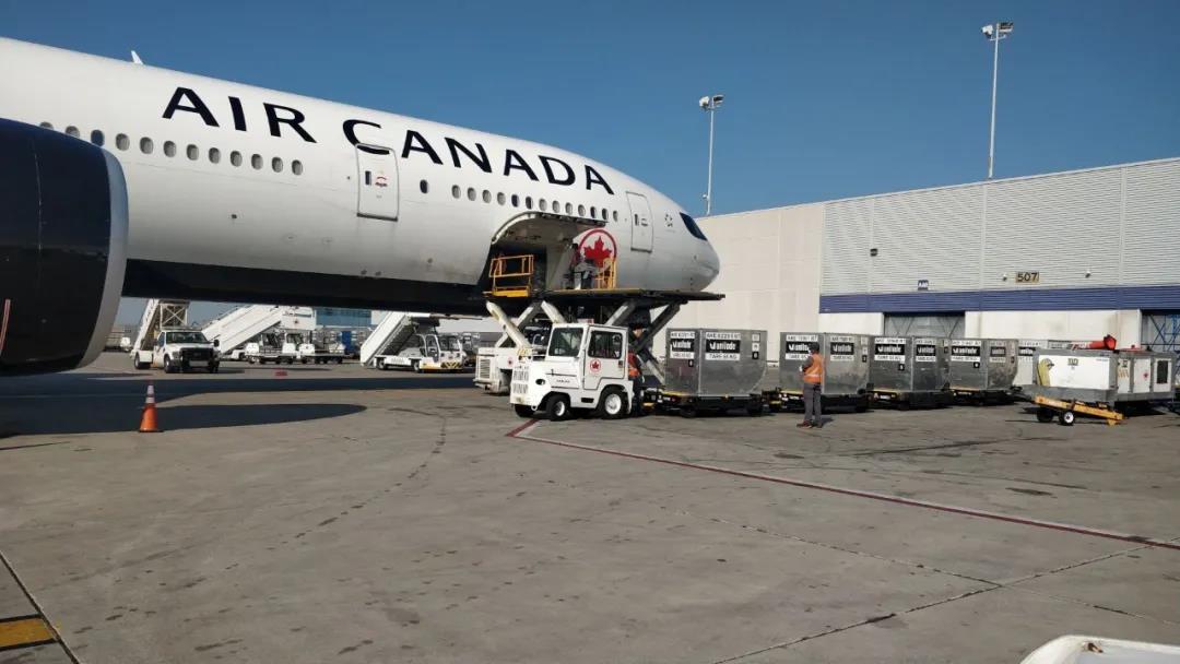 加拿大航空公司增派货运飞机运送