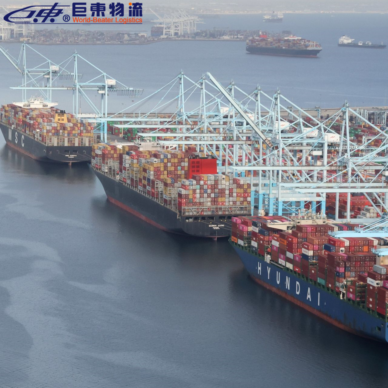 FMC加强对三大海运联盟的监管，要求船公司