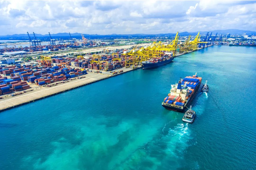 2022年中国港口集装箱吞吐量增长率