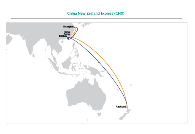 航线快讯！11月中旬，东方海外将新增一条新西兰直航服务CNX