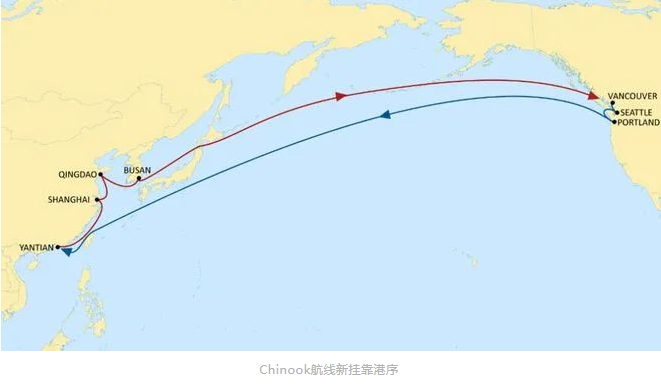 MSC更新两航线港口挂靠