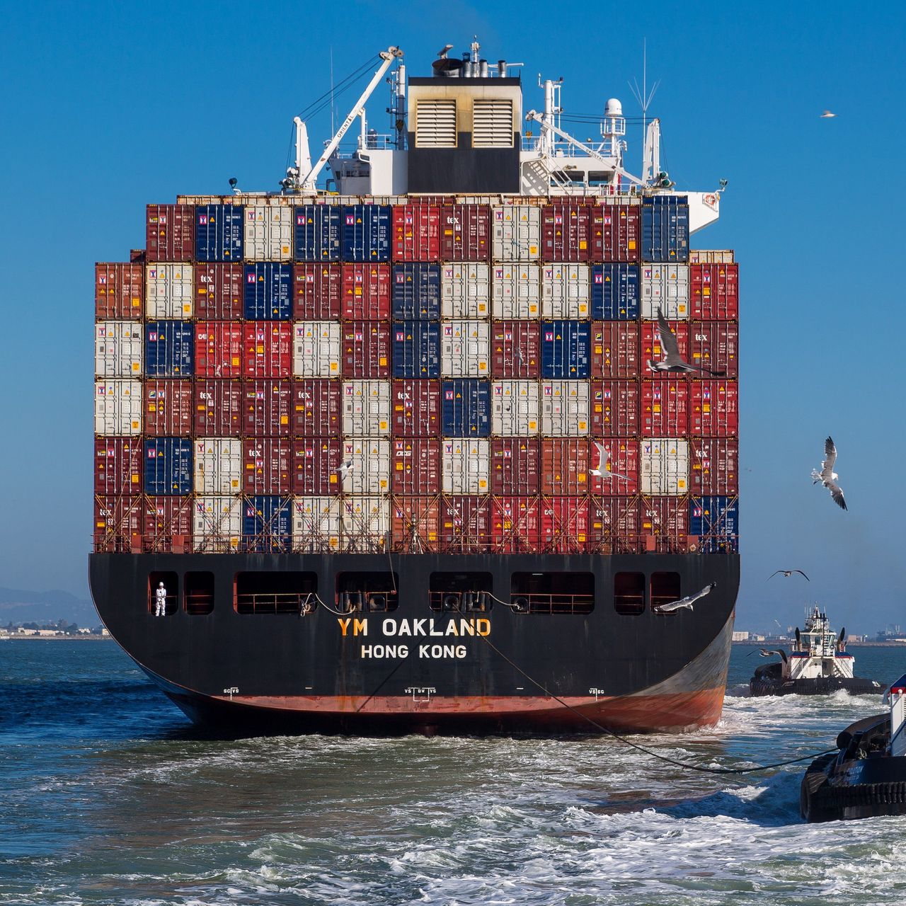 船司发布订舱新要求，违者一律拒订！